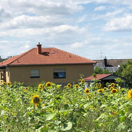 Ferienwohnung Carpe Diem Scheuerfeld Buitenkant foto