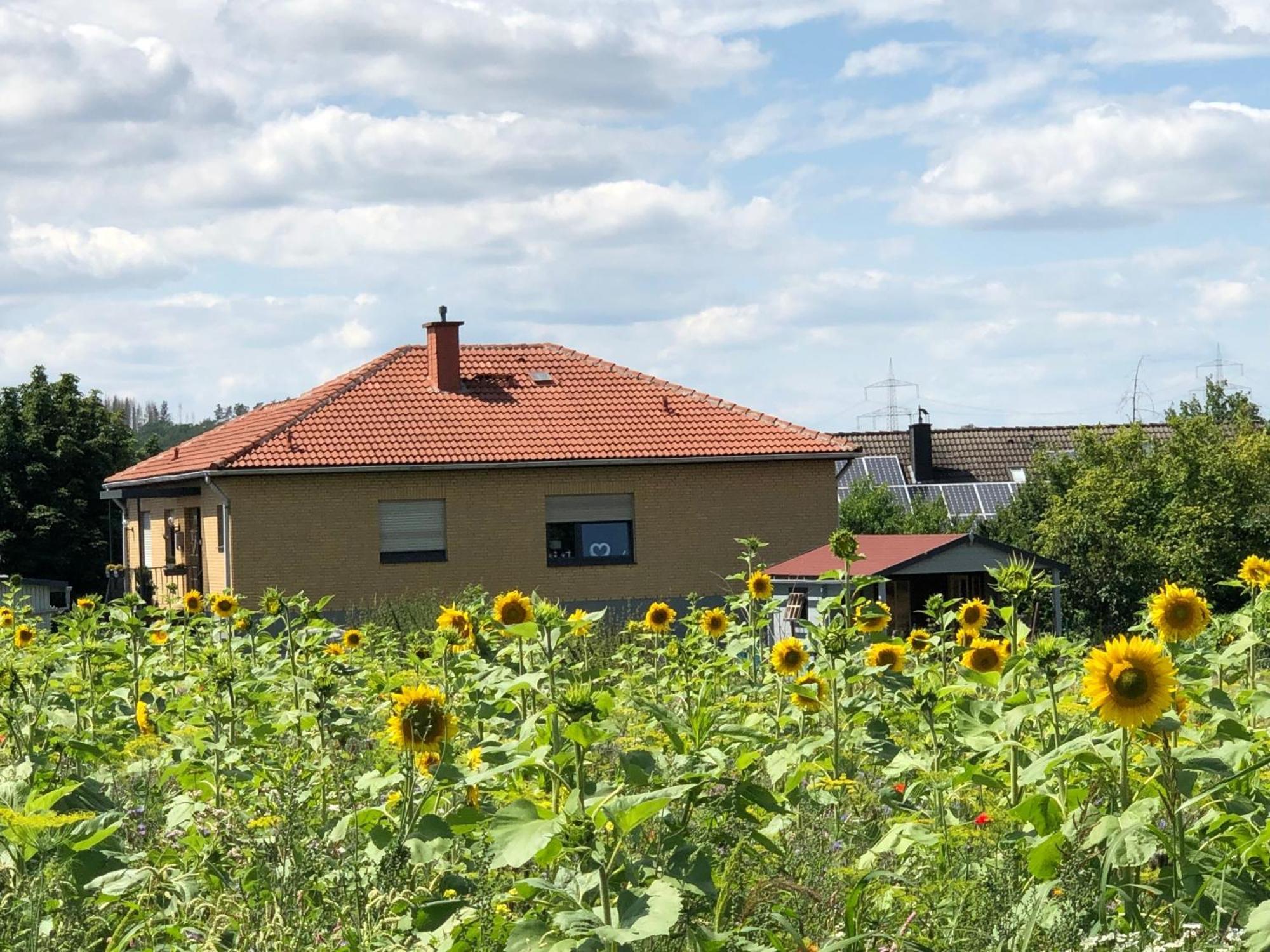 Ferienwohnung Carpe Diem Scheuerfeld Buitenkant foto