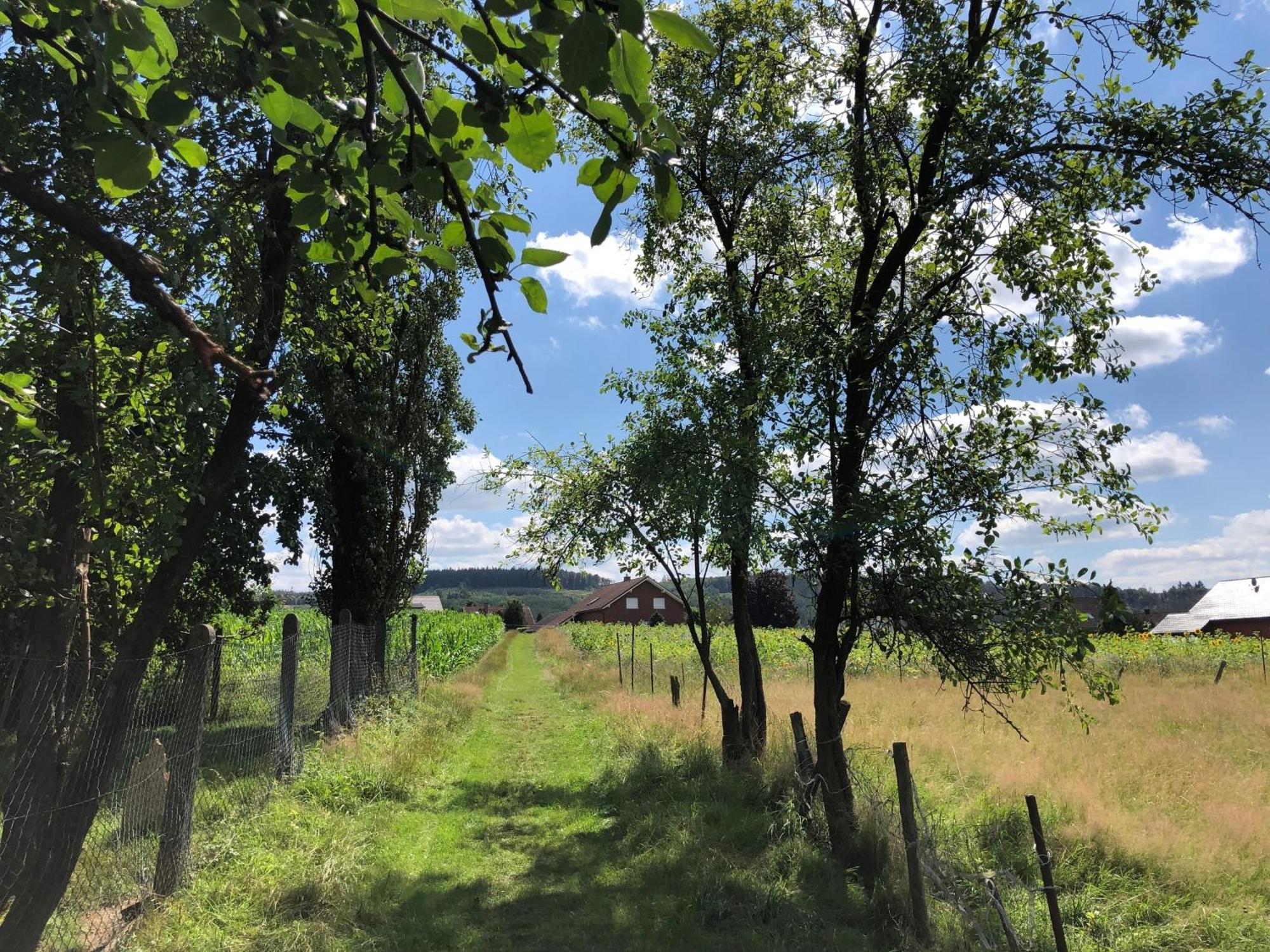 Ferienwohnung Carpe Diem Scheuerfeld Buitenkant foto